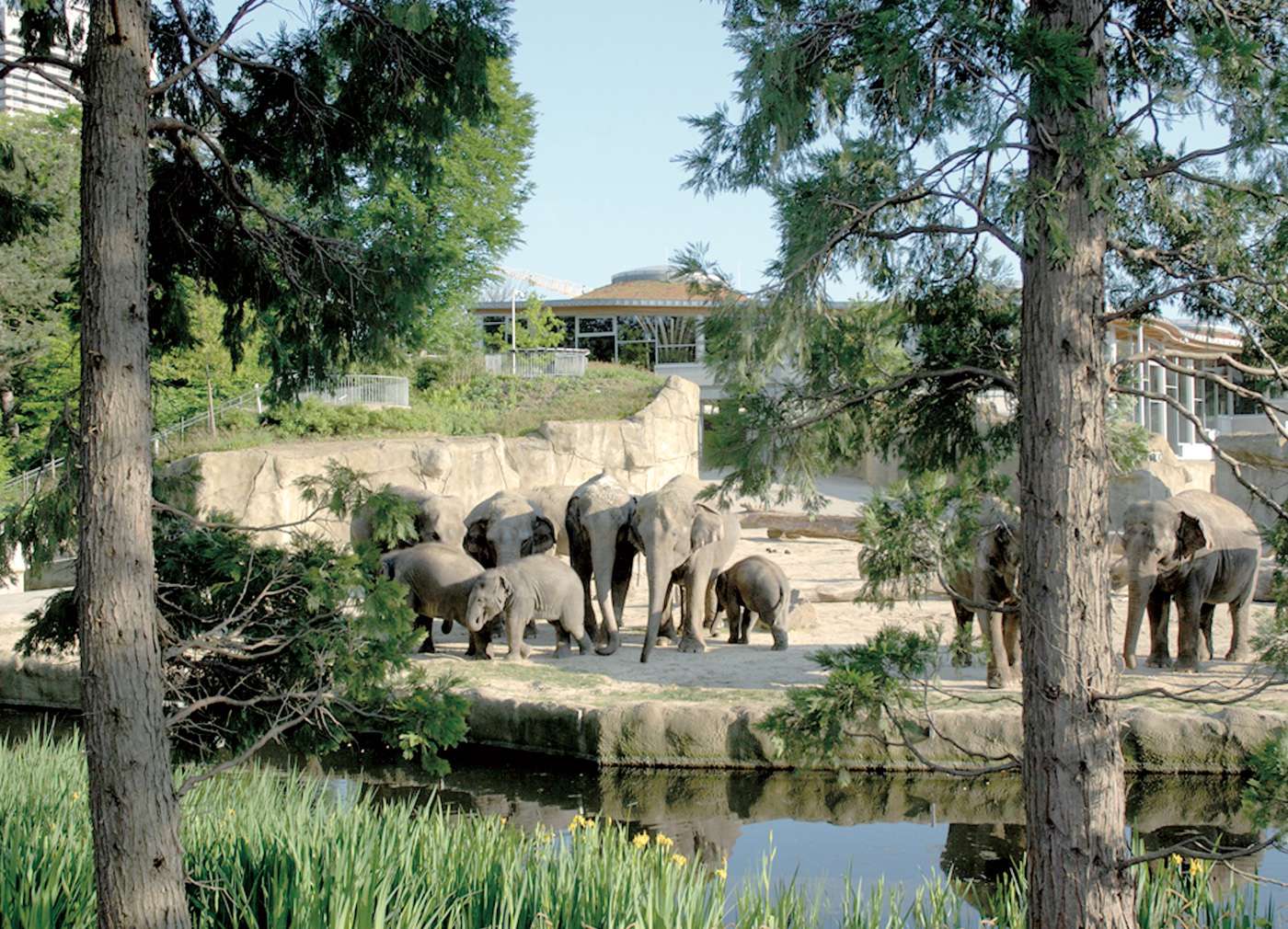 Trauort in Köln Kölner Zoo Elefantenpark