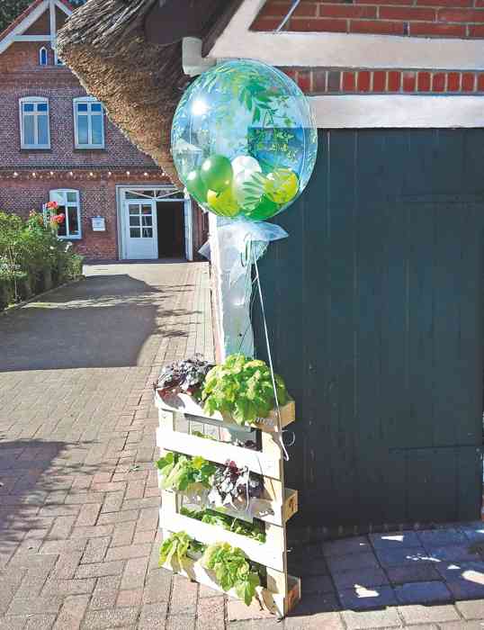 Mit Farn bedruckter durchsichtiger Heliumballon. Darinnen kleine grüne Miniluftballons von Plambeck & Luftballonwelt.de