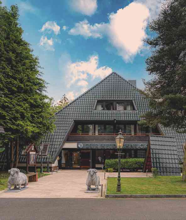 Paare können eine traumhafte und romantische Hochzeit in der Hochzeitslocation zur Heidschnucke feiern.