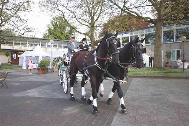 Hochzeitskutschen Friedrichs-Hof