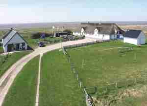 Hallig Krog