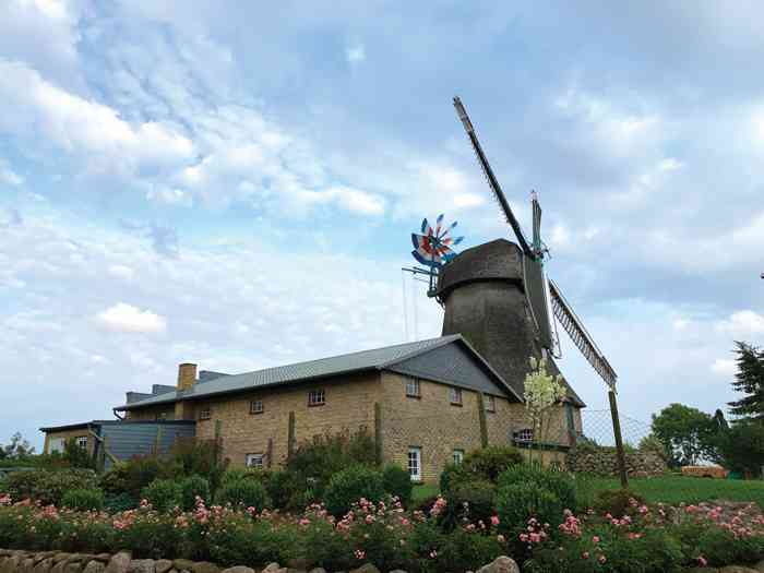 Windmühle Auguste in Groß Wittensee