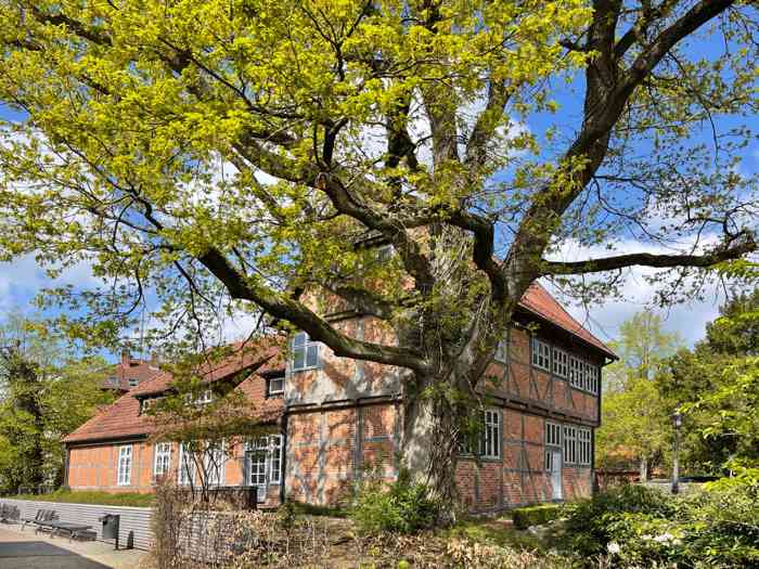 Königin-Christinen-Haus