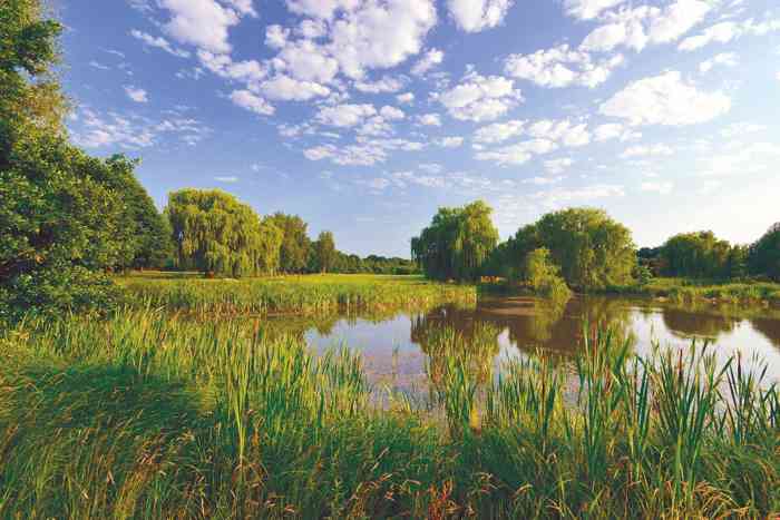 HELD - Golfanlage Bad Bevensen Idyllische Landschaft Teich