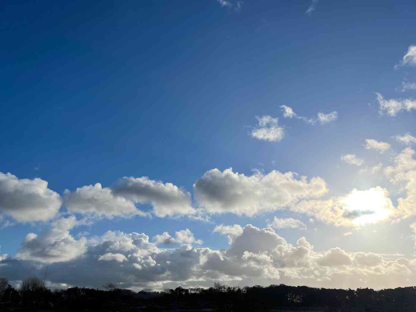 Standesamt Flensburg bei Kuchenbuchs Hochzeiten