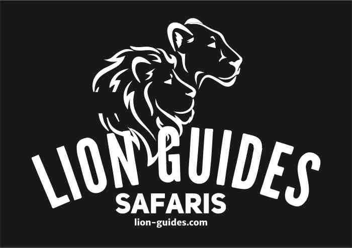 Lion Guides Safaris